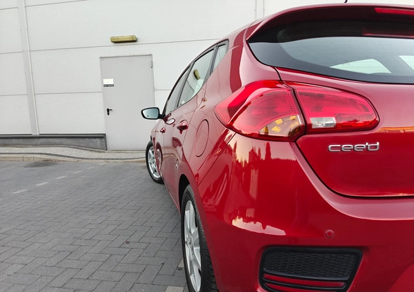Kia Ceed cena 38900 przebieg: 156500, rok produkcji 2016 z Mieszkowice małe 631